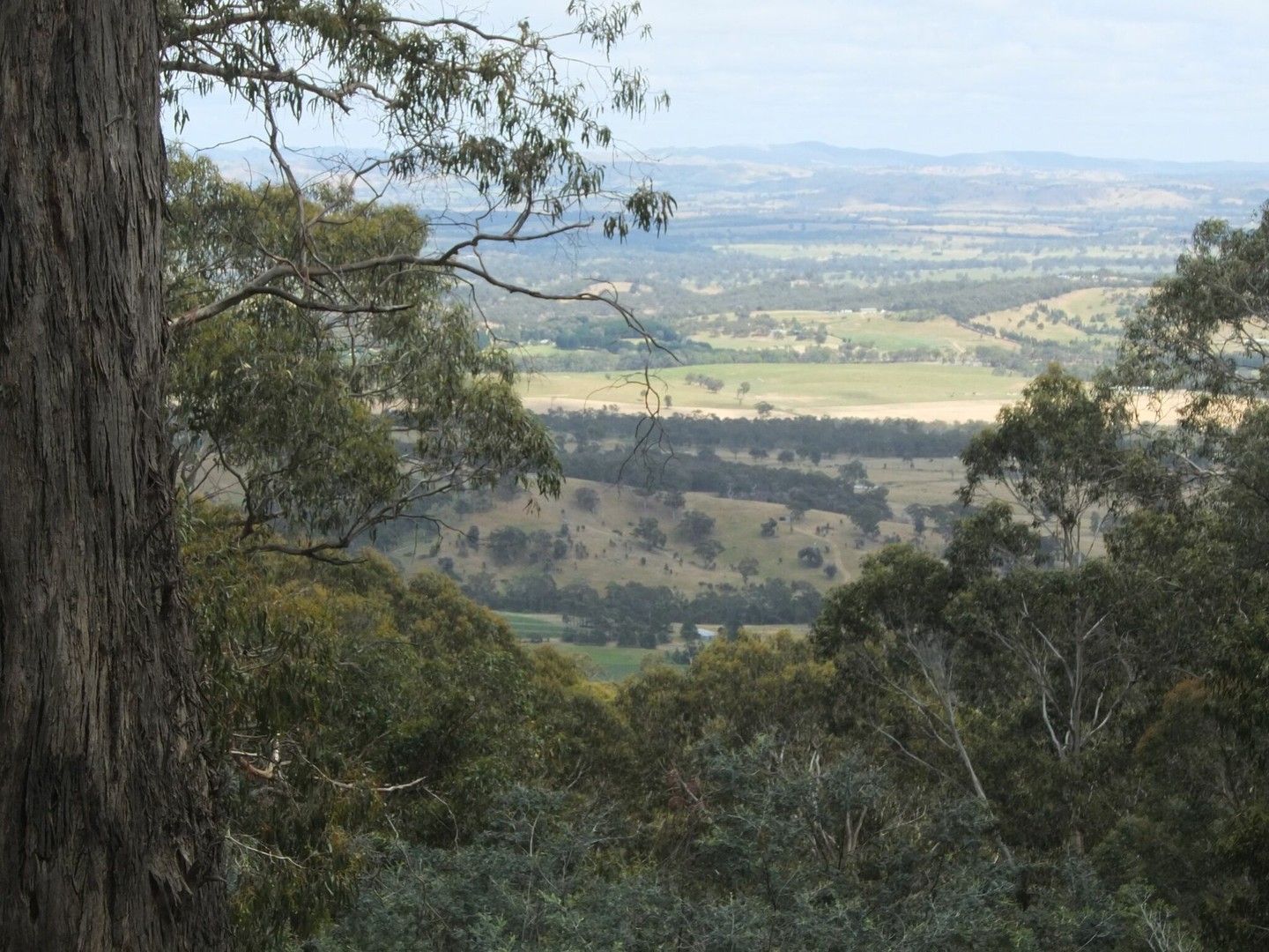 Vacant land in 385 Ennis Road, TALLAROOK VIC, 3659