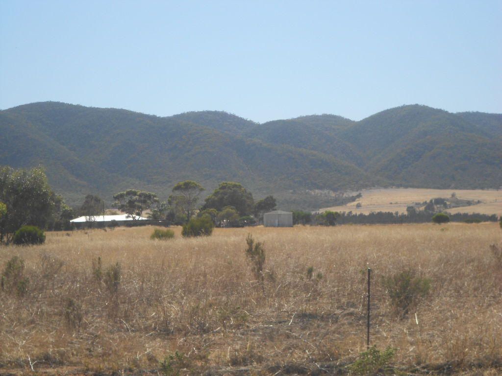 Lot 176 Muster Drive, Napperby SA 5540, Image 2