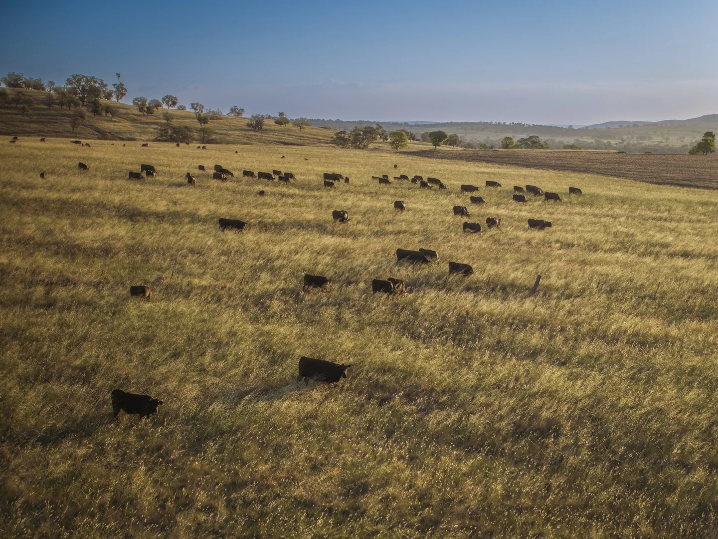 'Mountainside' 250 Mountain Side Road, Coolah NSW 2843