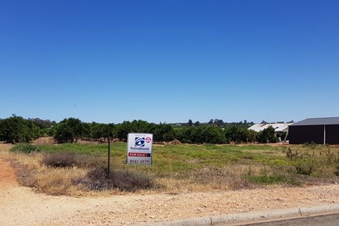 Picture of Lot 100 Mary Starr Drive, WAIKERIE SA 5330