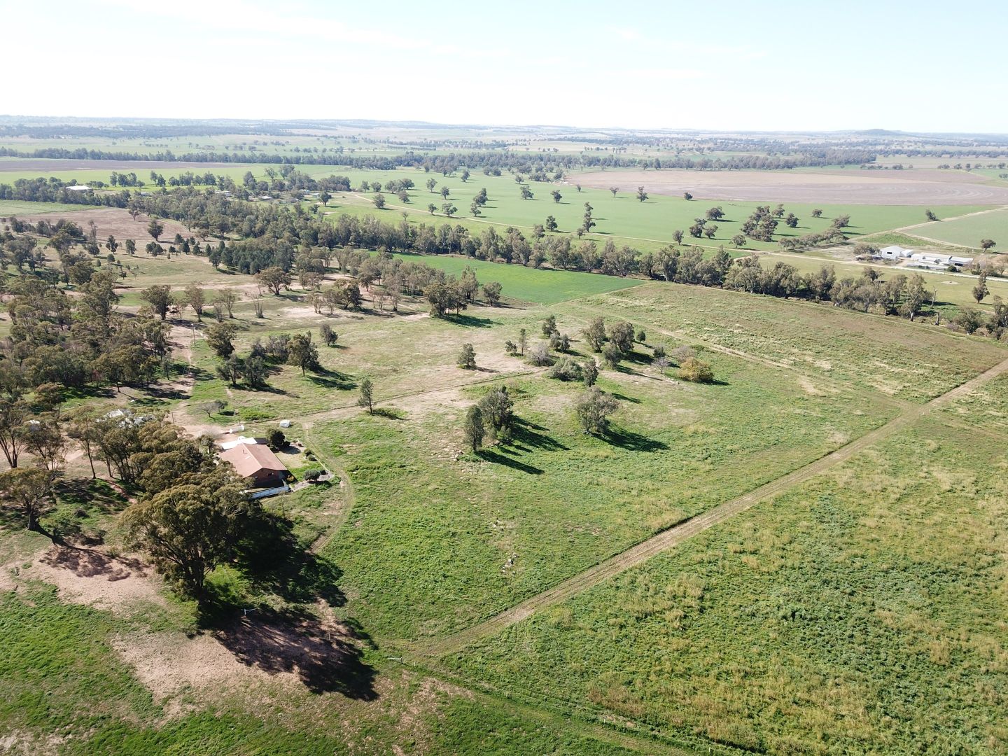 'Keringle' 162 Benolong Rd, Benolong NSW 2818, Image 2