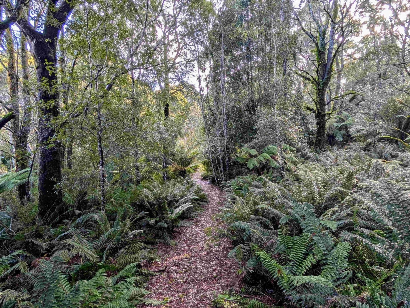 Image 23