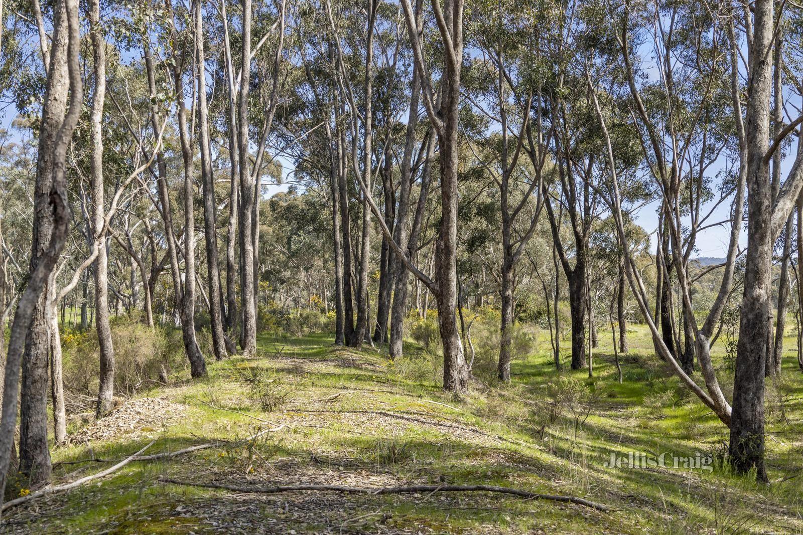 28 Allans Road, Maldon VIC 3463 Vacant Land for Sale Domain