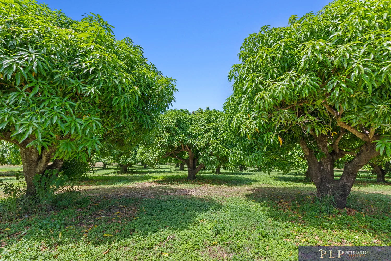 Additional image 36 of 75 Taloonda Road, Bowen QLD 4805