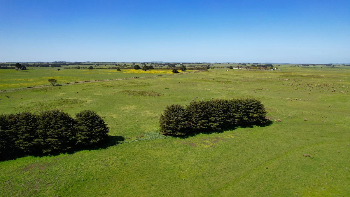 Additional image 31 of 170 Allans Road, Framlingham VIC 3265