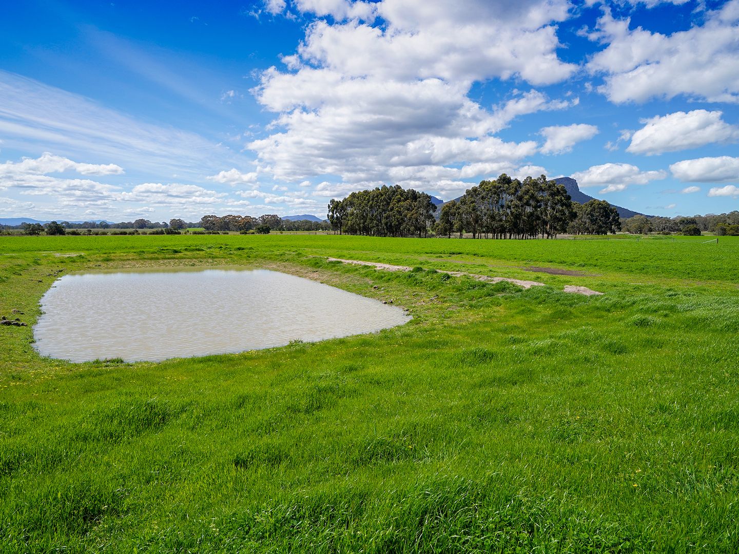 7326 Glenelg Highway, Dunkeld VIC 3294 House for Sale Domain