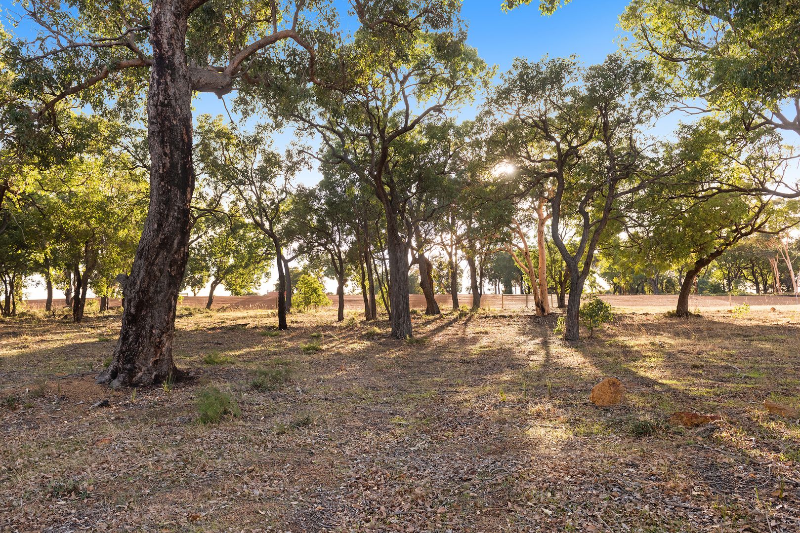 51 Honeyeater Way, Chittering WA 6084, Image 1