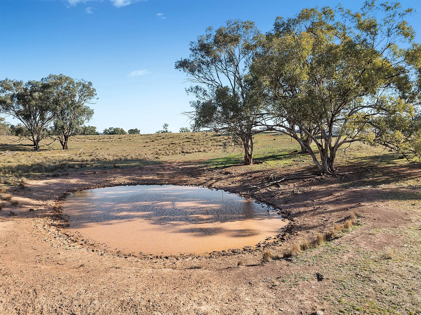 Additional image 20 of 837 Packham Drive, Molong NSW 2866