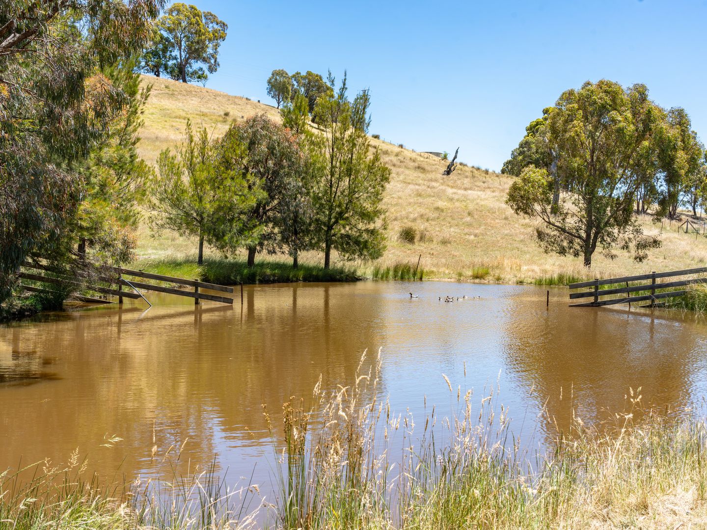 1286 Howes Creek Road, Mansfield VIC 3722 Vacant Land for Sale