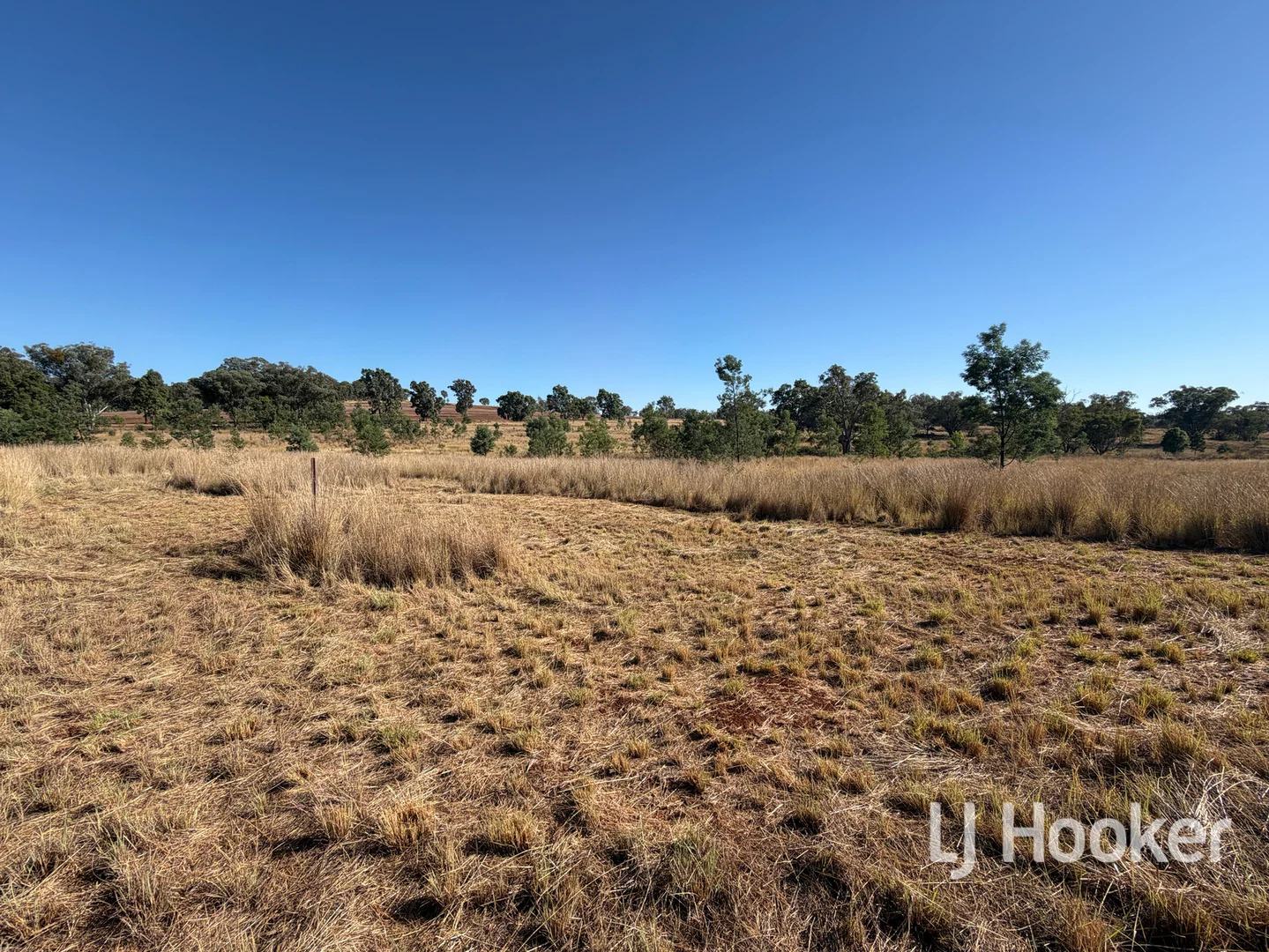 Additional image 16 of Gwydir Highway, Inverell NSW 2360