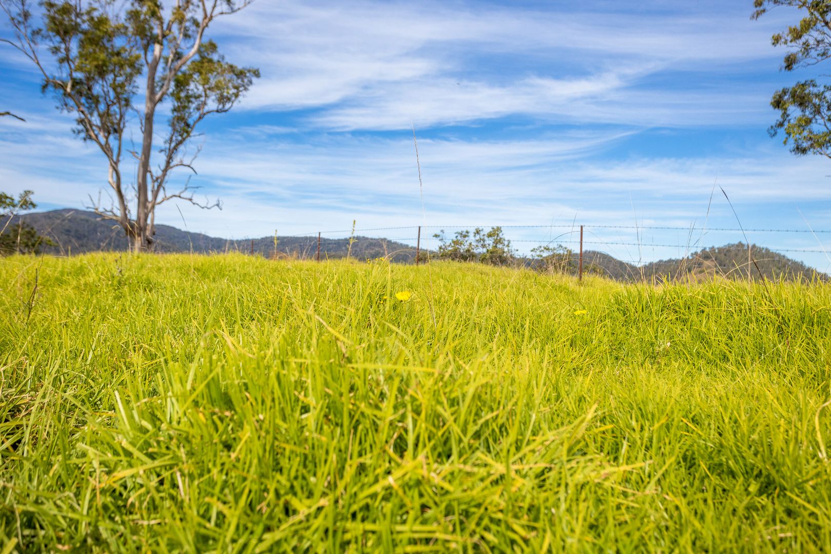 110 Cells Road, Number One NSW 2424, Image 2