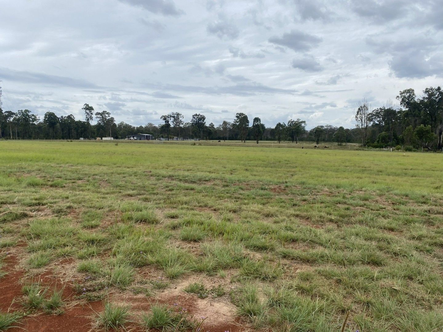 Vacant land in Lot 193 Premier Drive, KINGAROY QLD, 4610