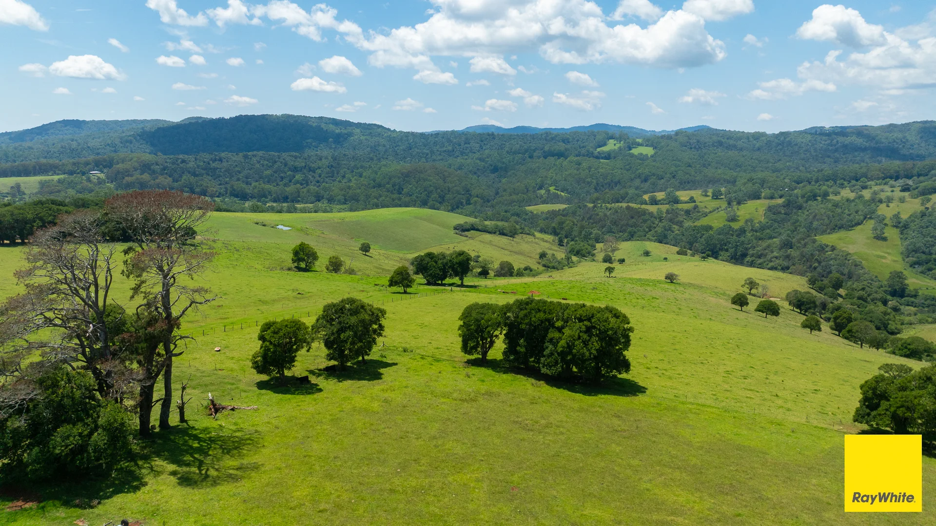 Additional image 24 of 262 Snows Road, Dorrigo NSW 2453