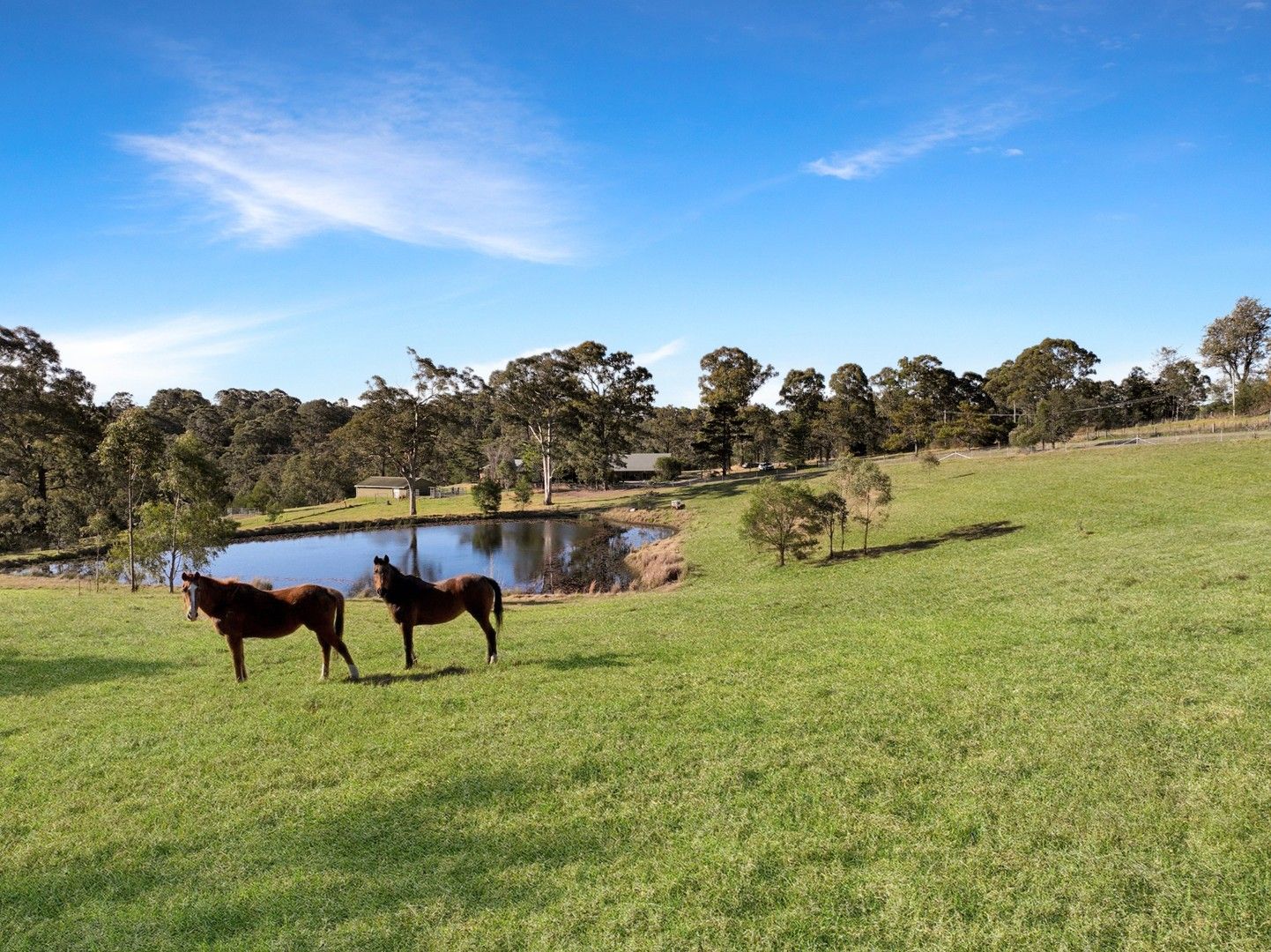 167 East Kurrajong Road, East Kurrajong NSW 2758, Image 0