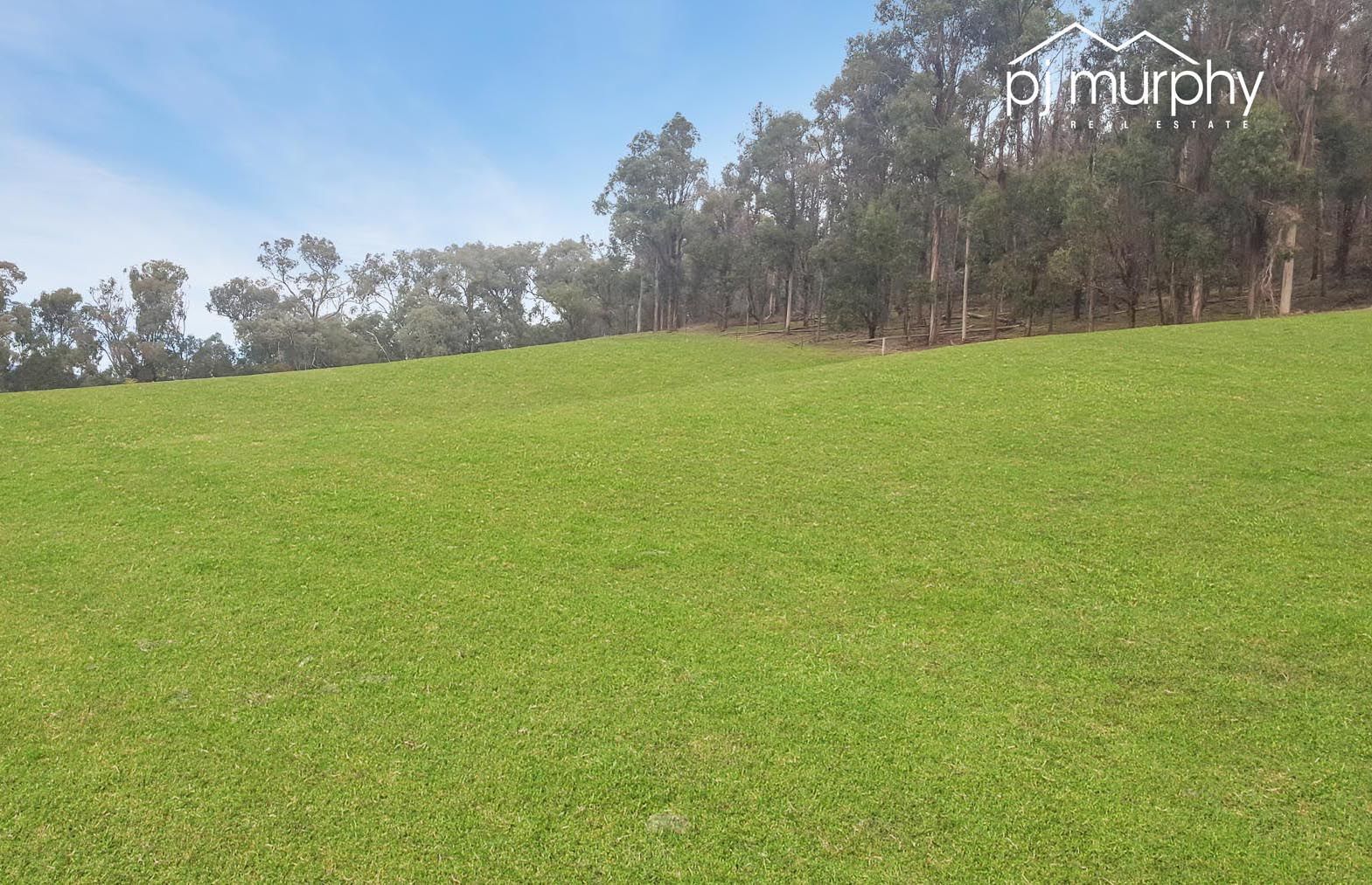 78 Twist Creek Road, Yackandandah VIC 3749, Image 2