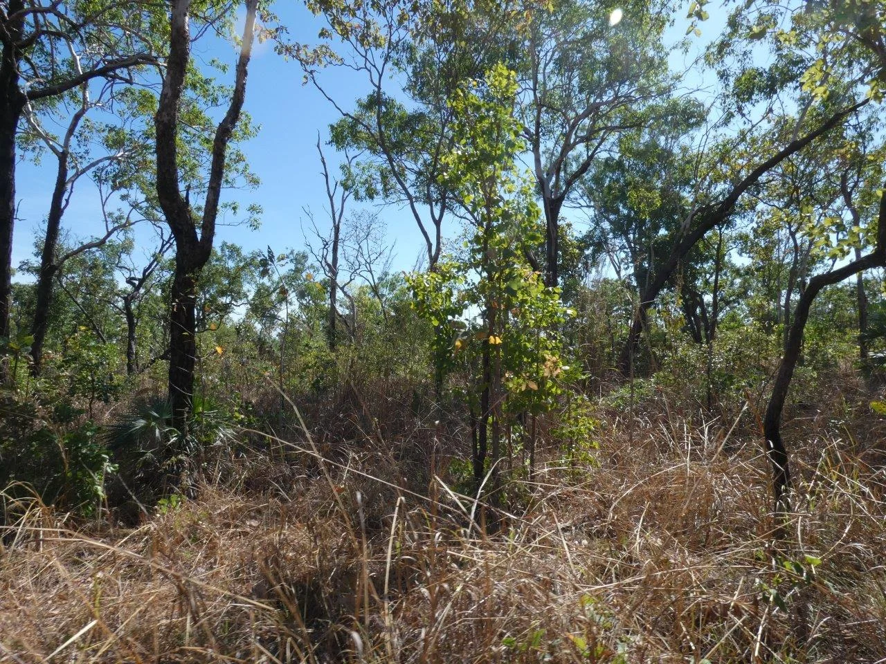 Image 9