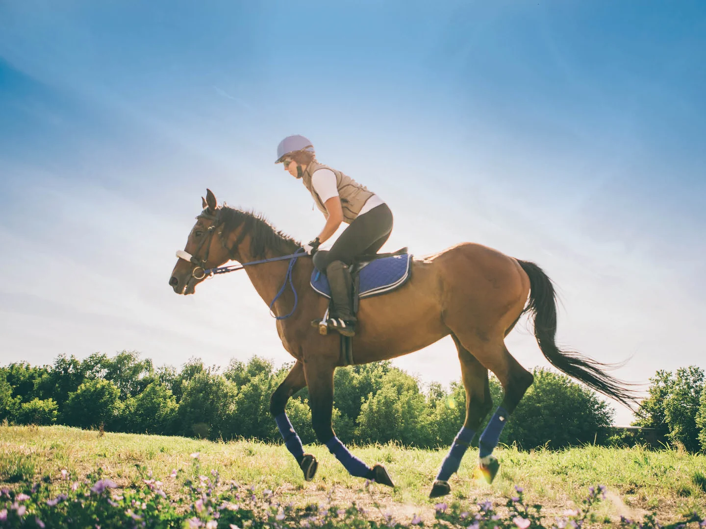 Additional image 7 of Lot 1004, Lucca Way, Hidden Valley VIC 3756