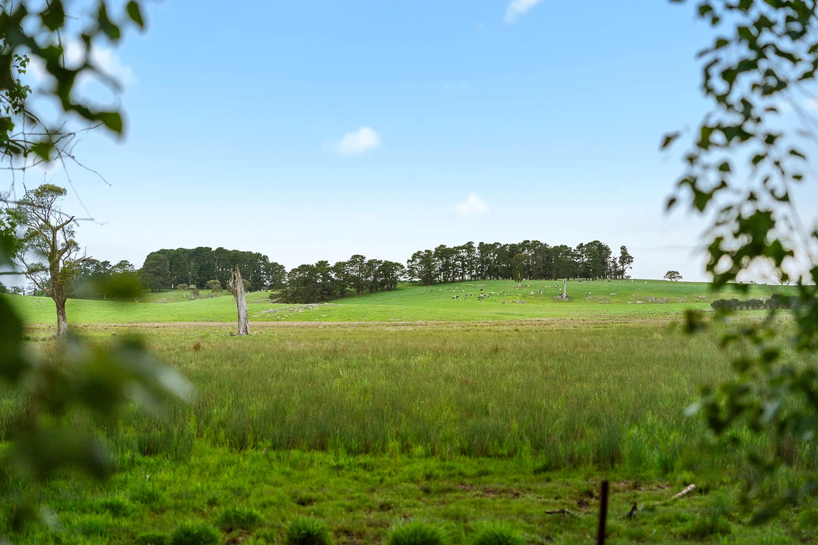 Image 25