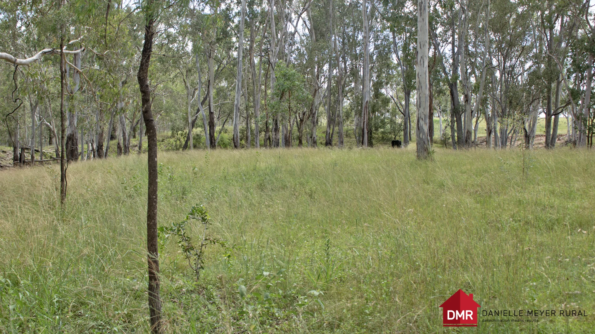 Additional image 26 of 336 James Road, Brovinia QLD 4626