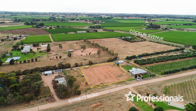 Picture of 10b Barnett Road, RED CLIFFS VIC 3496