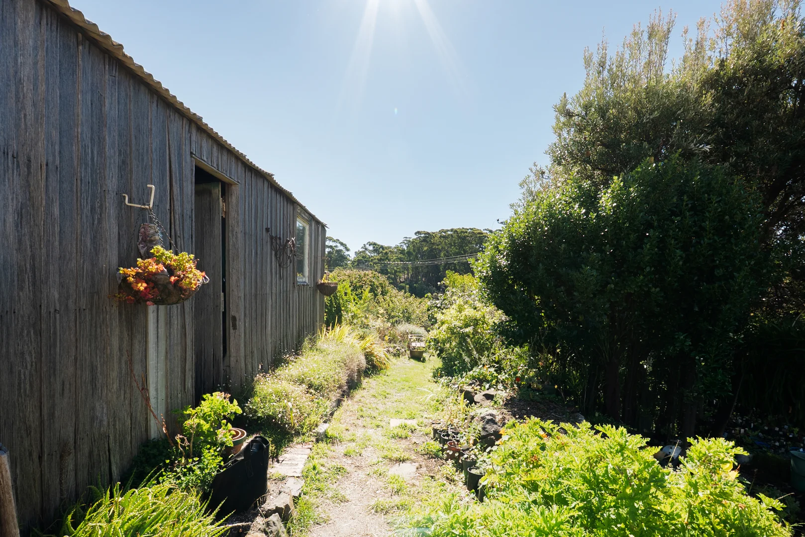 Additional image 16 of 12 Mission Hill Road, Penguin TAS 7316