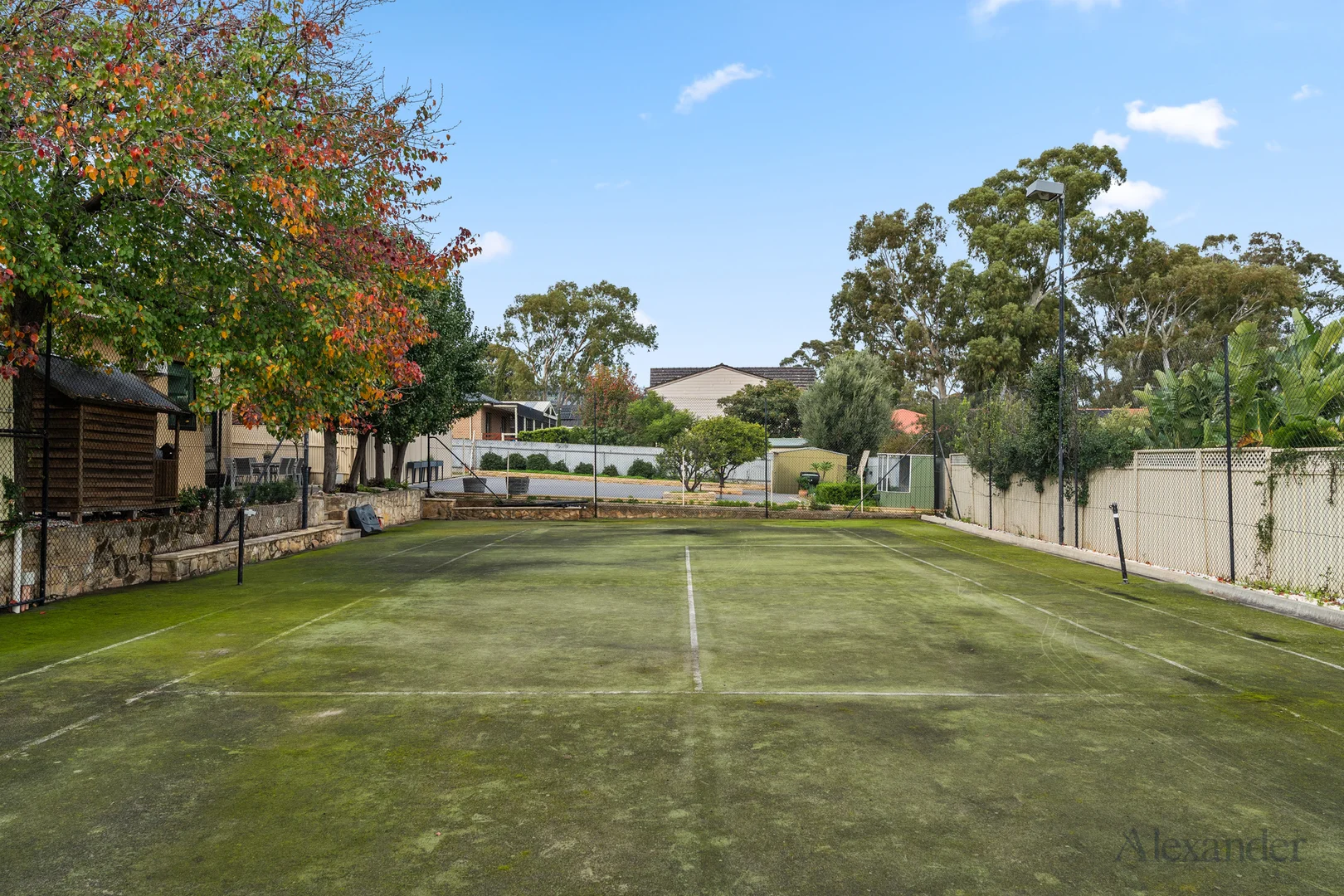 Image 25