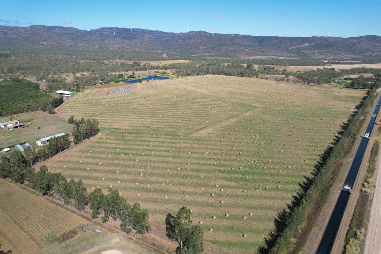 105 Channel Road, Walkamin QLD 4872 House for Sale 3,900,000