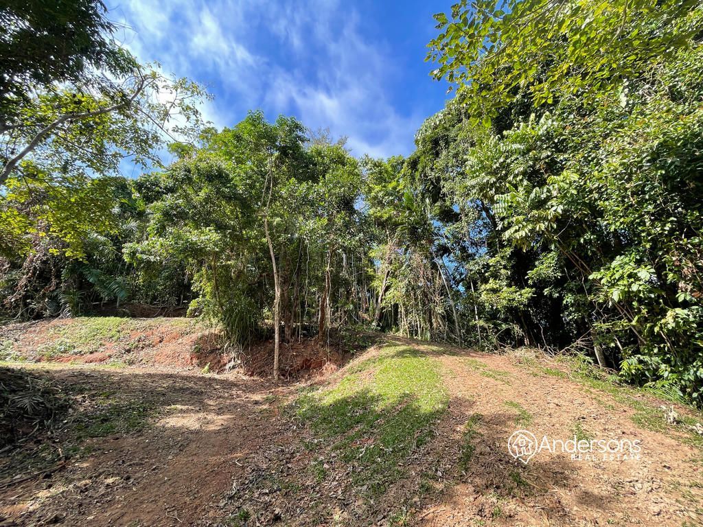 5/627 Bingil Bay Road, Bingil Bay QLD 4852 Domain