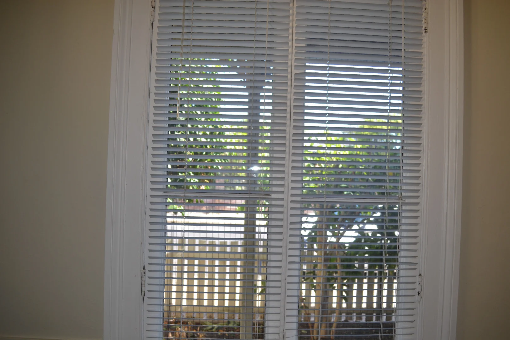 Additional image 6 of 55 Bourke, Maitland NSW 2320