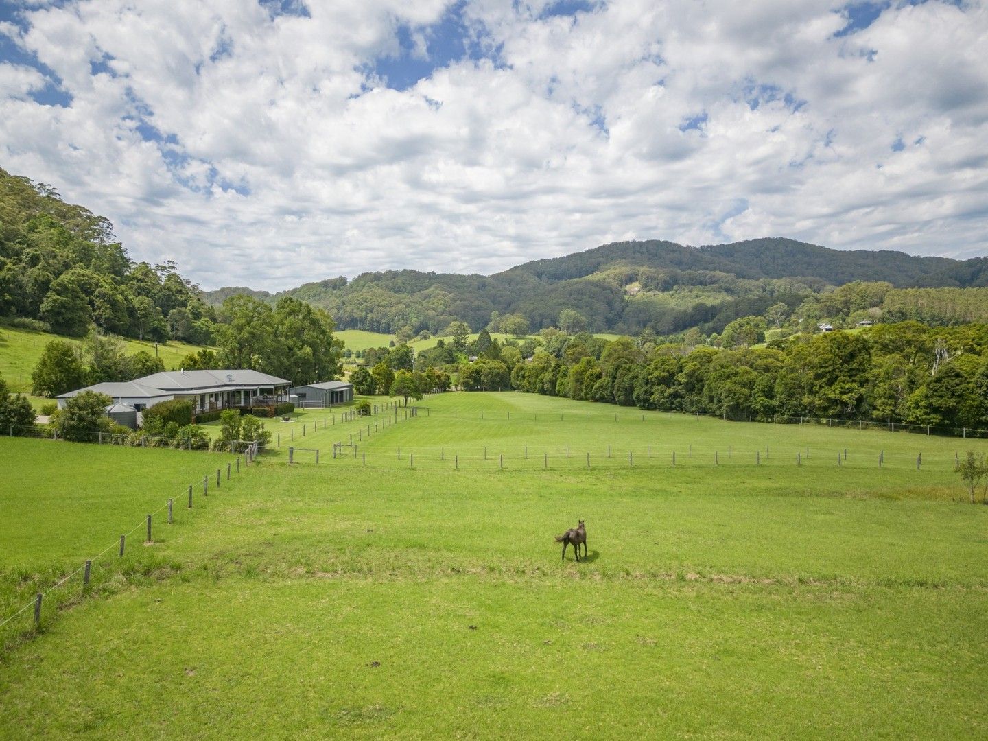 100 Fridays Creek Road, Upper Orara NSW 2450, Image 0