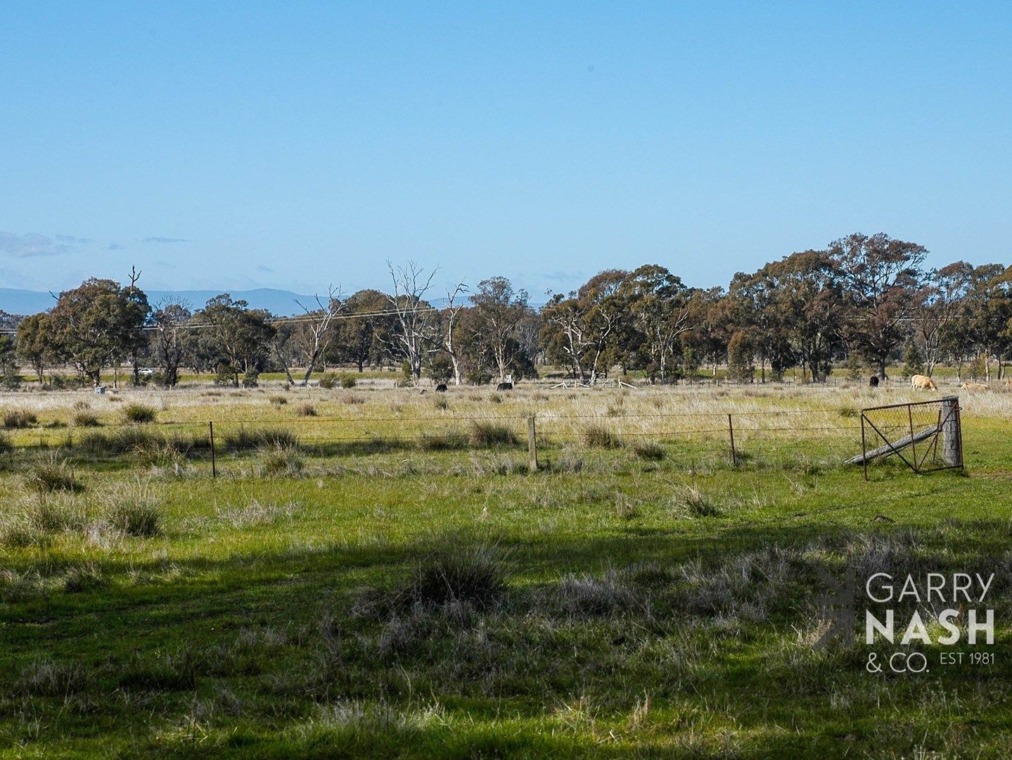 Lot 1 Yarrahill Court, Wangaratta South VIC 3678, Image 0