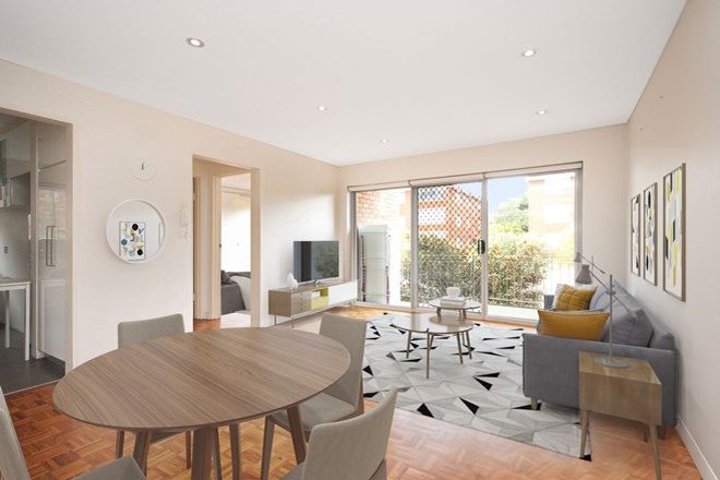 393 1 Bedroom Apartments For Rent In Randwick Nsw 2031 Domain