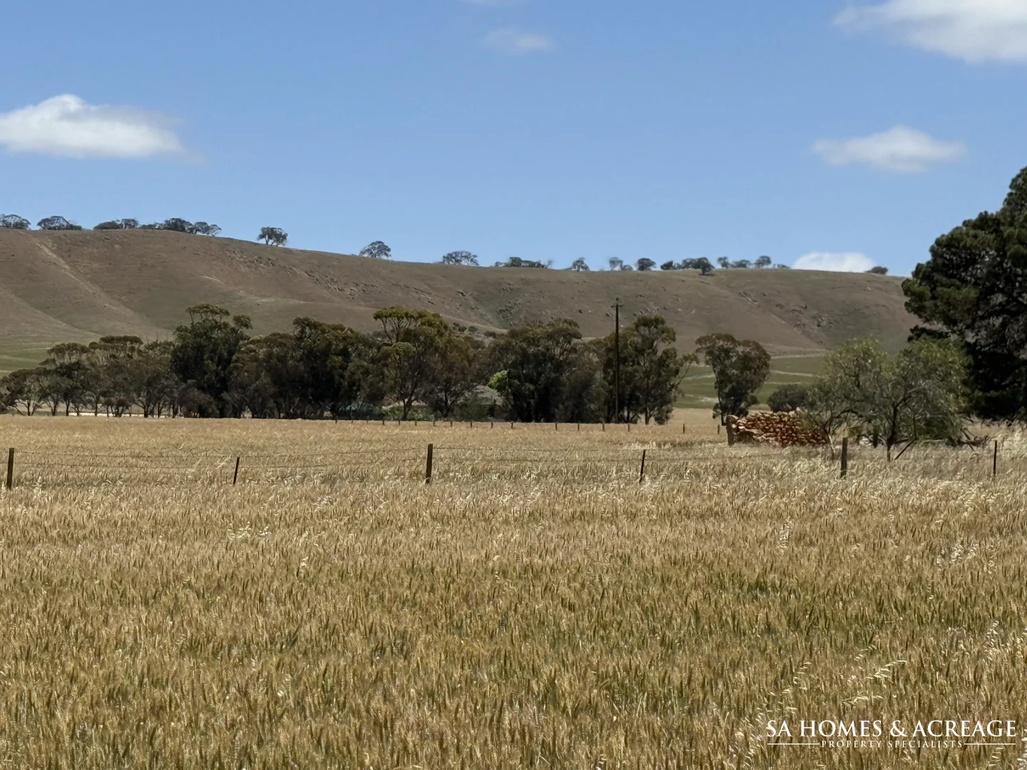 Image 15