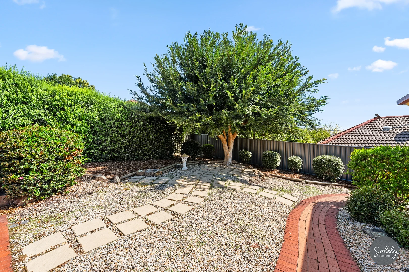 Image 20