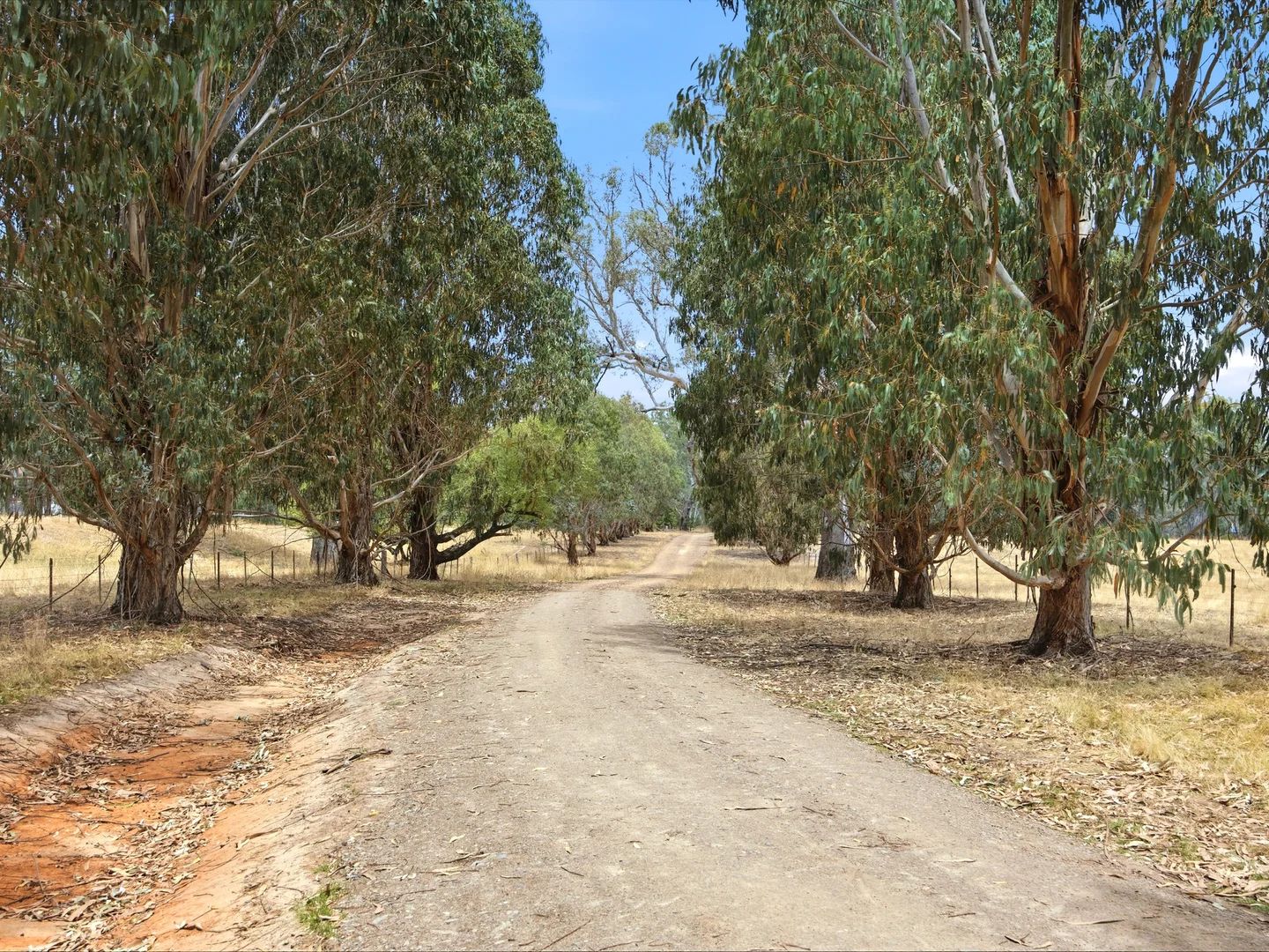 Image 23