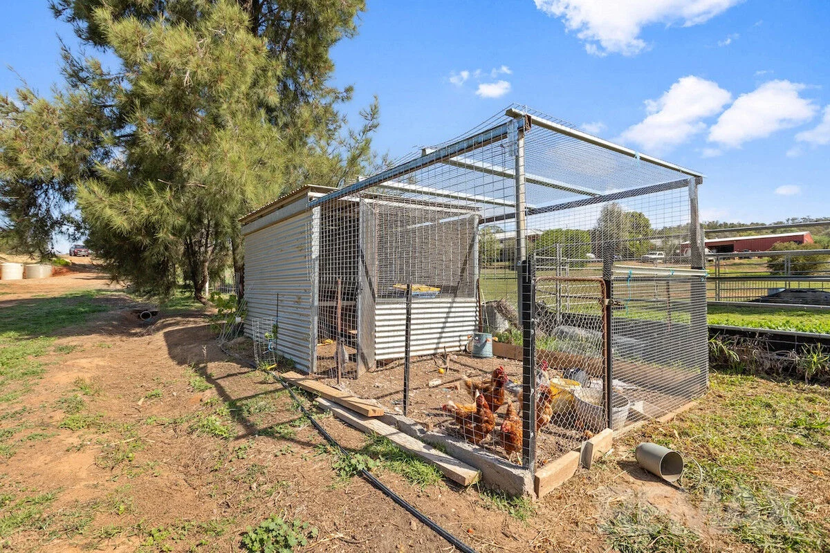 Additional image 37 of 62 Riverview Drive, Moorong NSW 2650