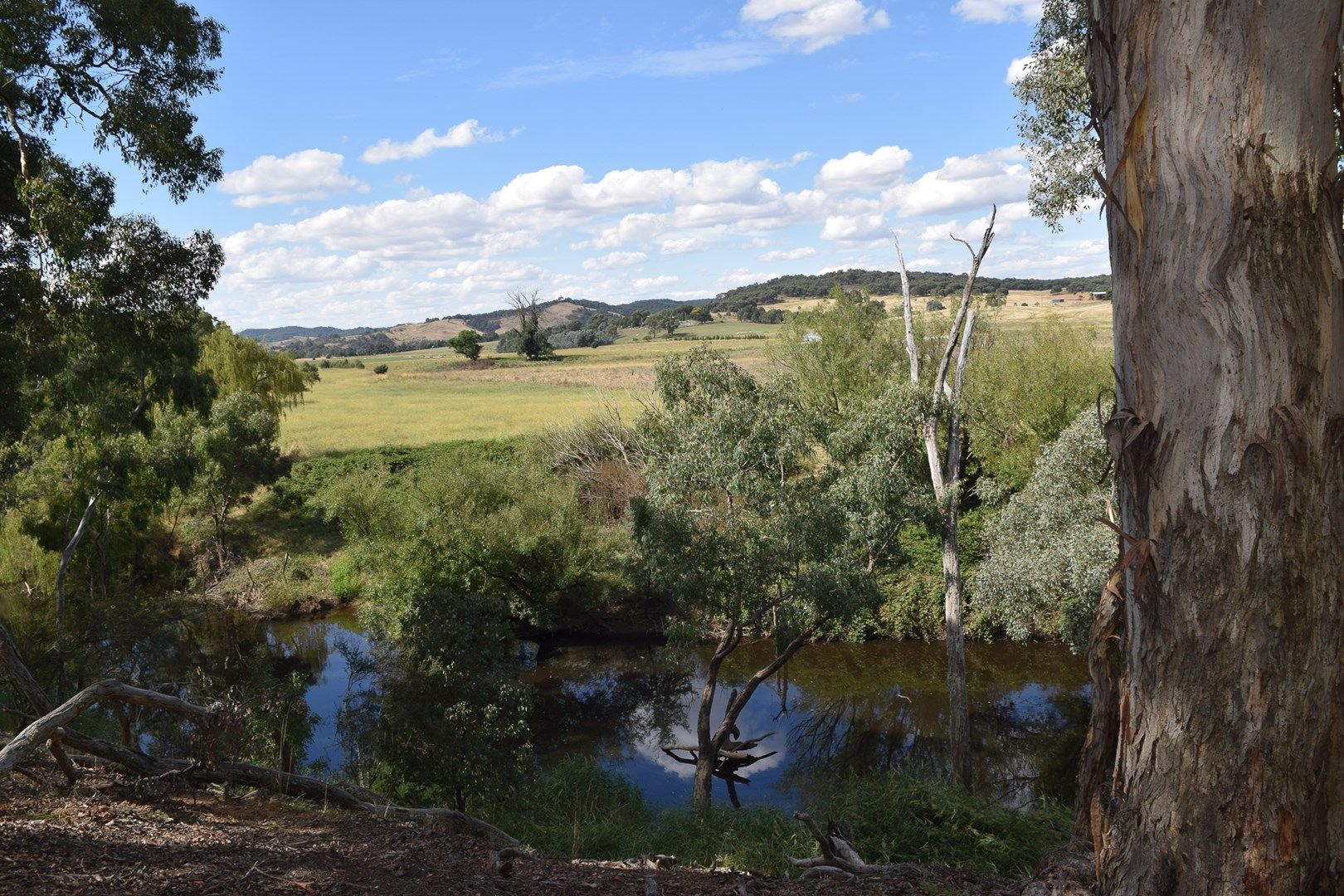 160 Birradilli Lane, Murrumbateman NSW 2582, Image 0