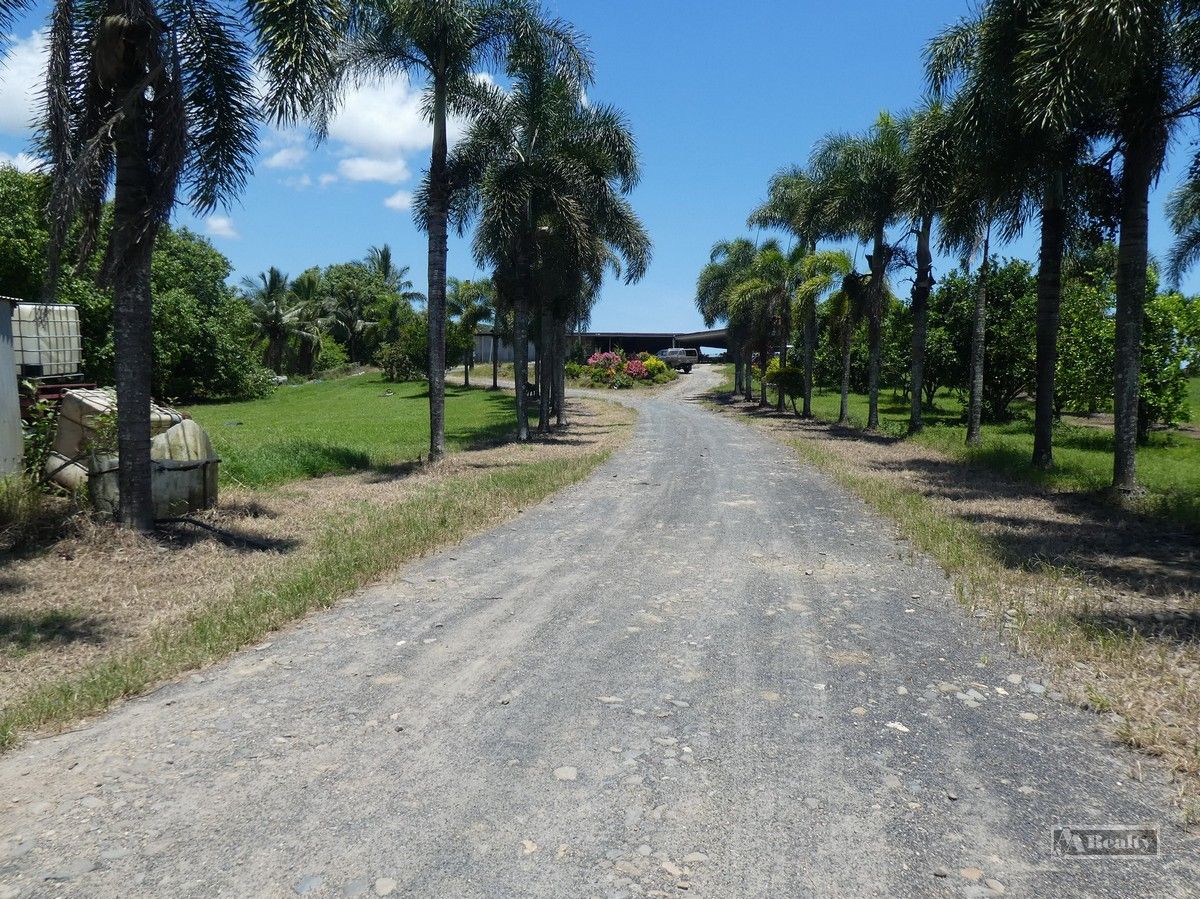 Silkwood QLD 4856 Specialist Farm for Sale 790,000 Domain