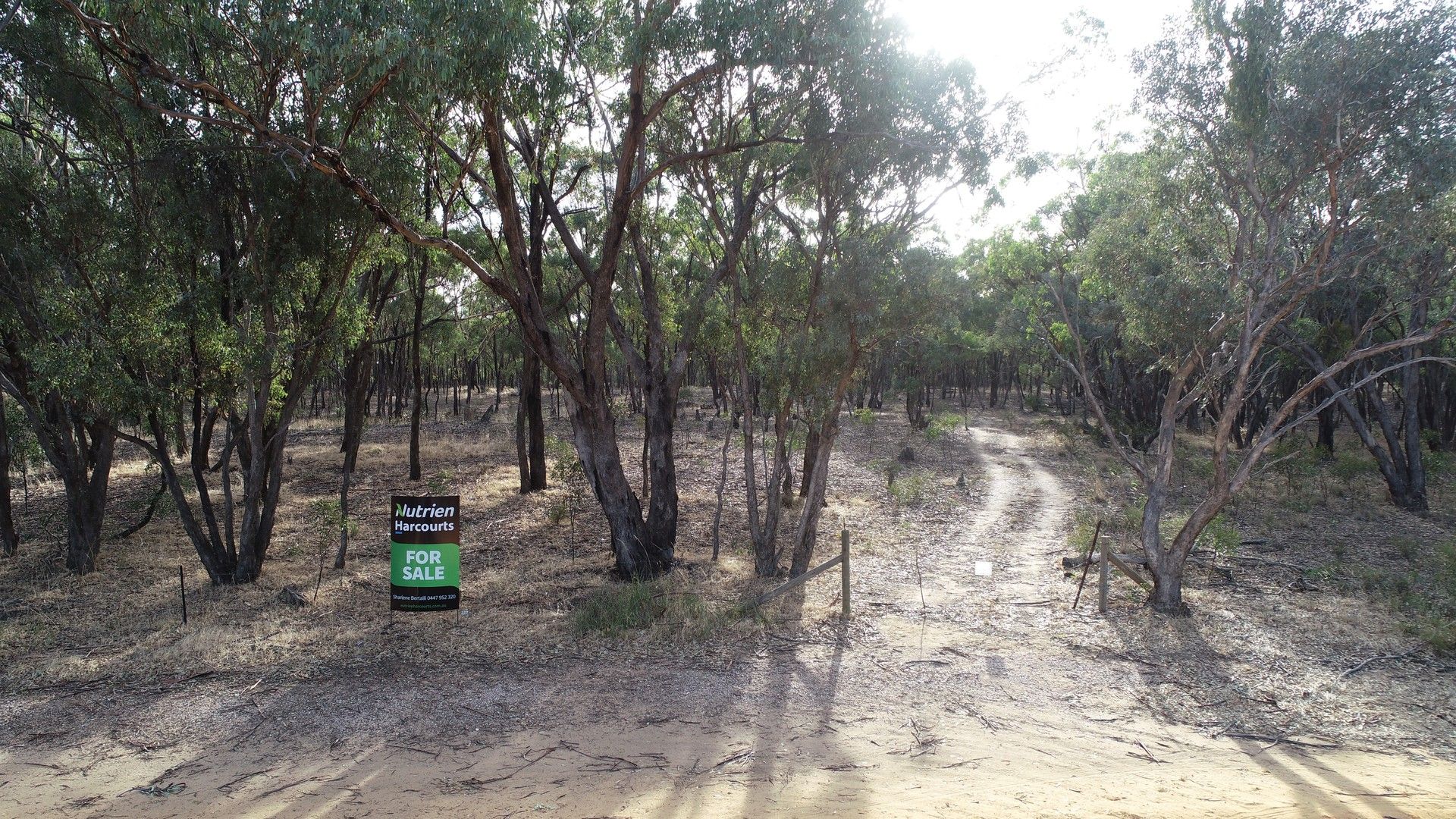 0 Carapooee Road, St Arnaud East VIC 3477, Image 1