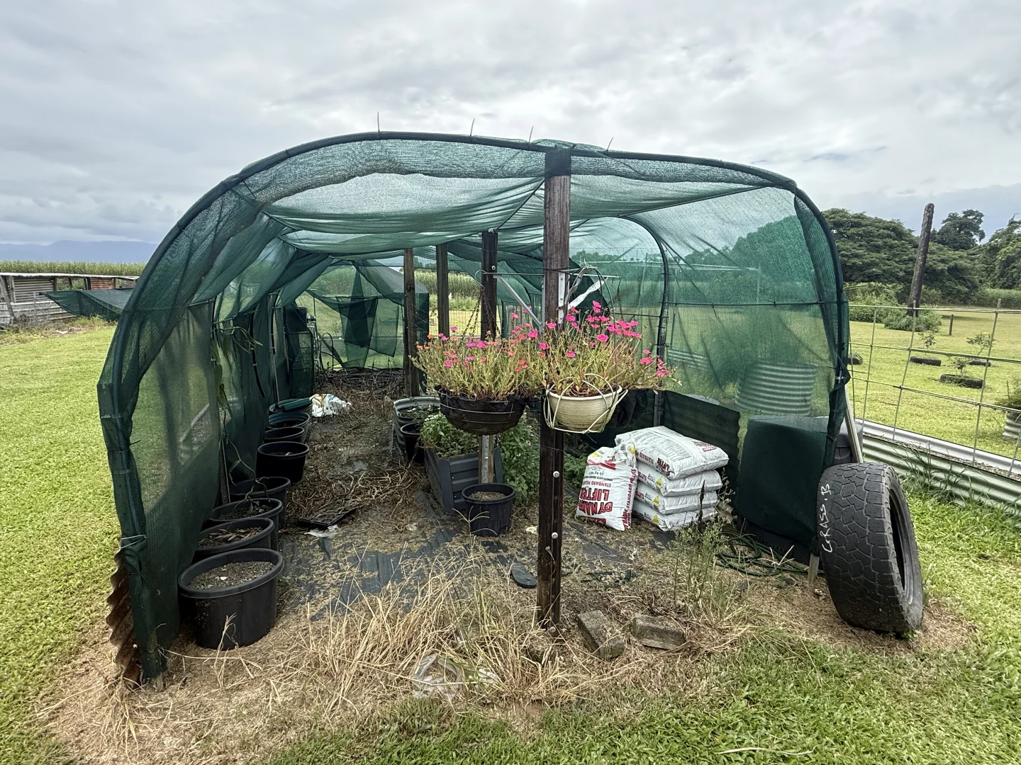 Image 29