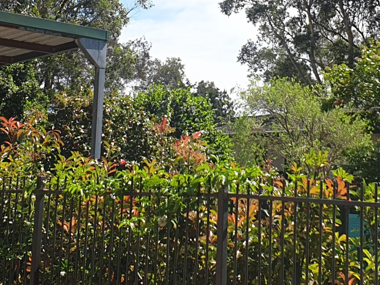 Image 14