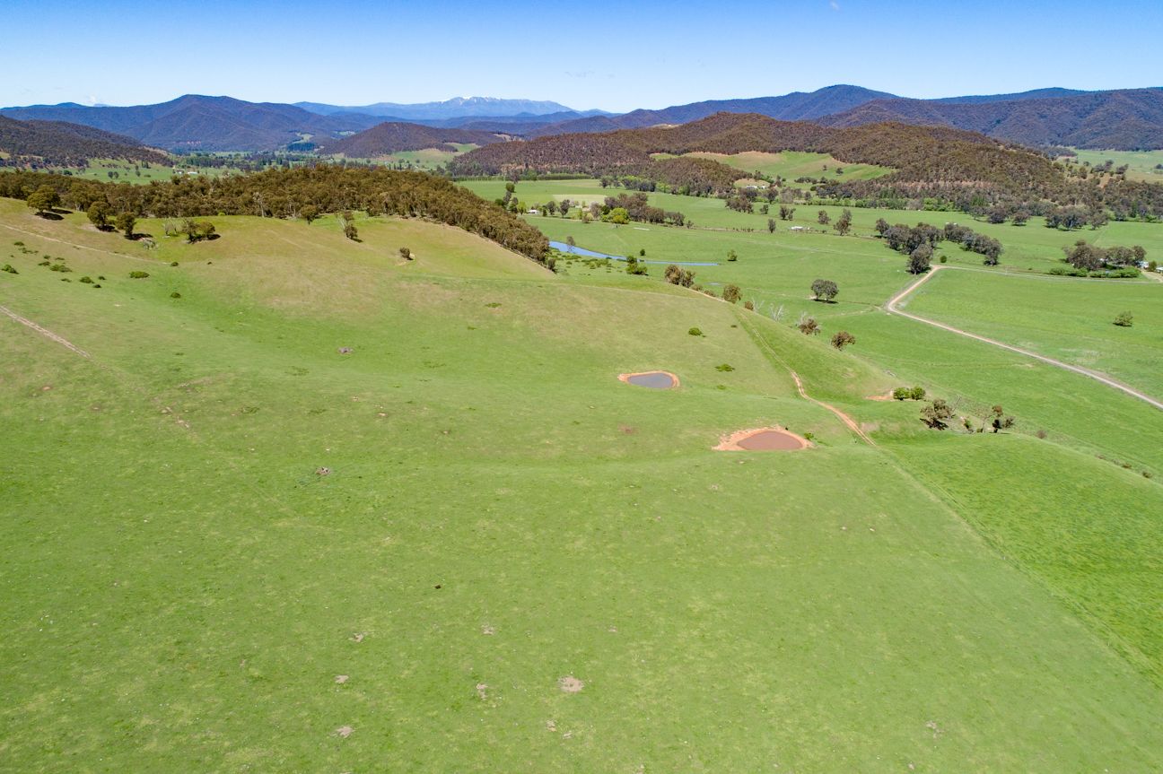 Lot 1 & 2 Bullhead Road, Mitta Mitta VIC 3701, Image 2