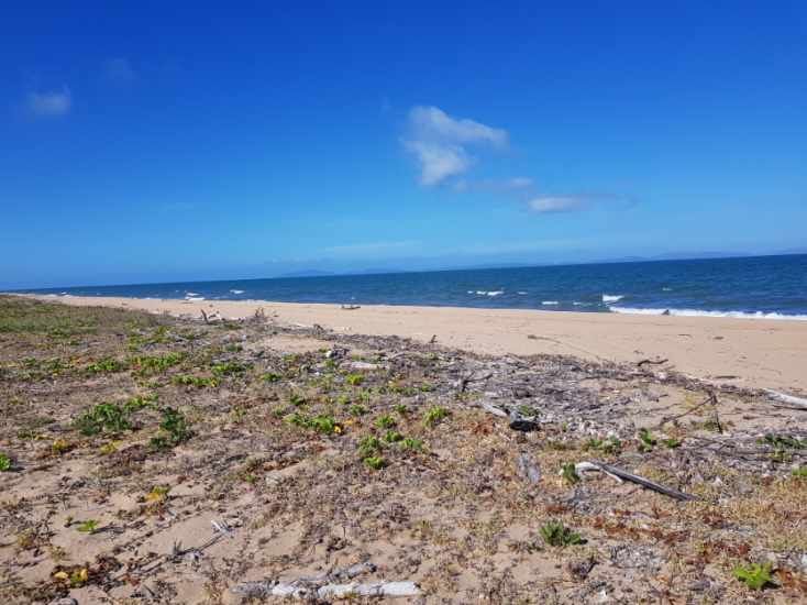 0 Poppis Road, Forrest Beach QLD 4850, Image 0