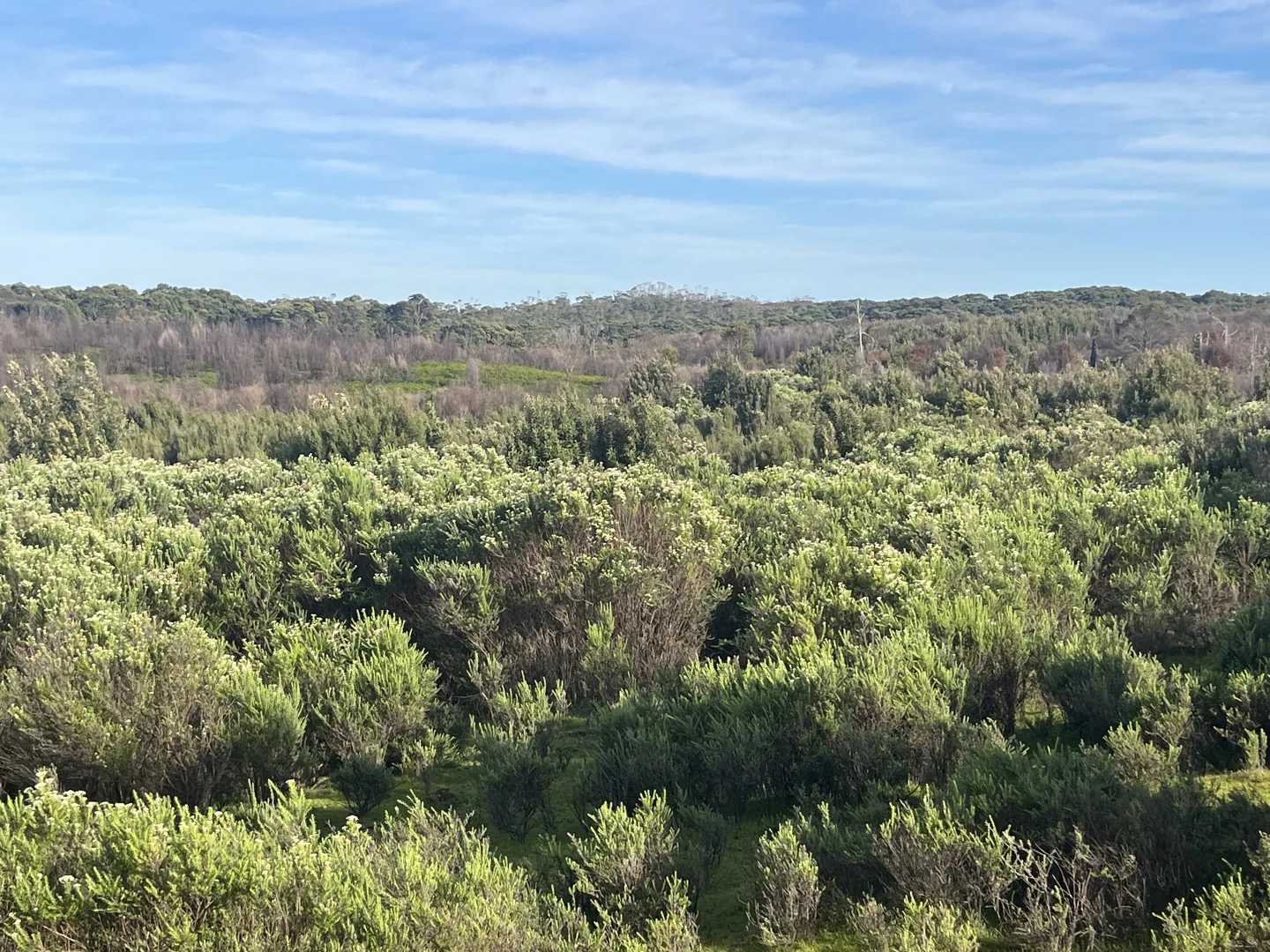 Additional image 6 of . Wilsons Road, Granville Harbour TAS 7469