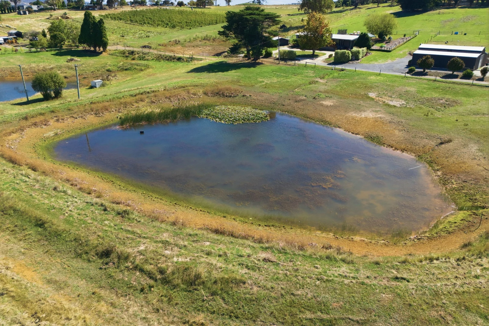 Additional image 8 of 161 John Lees Drive, Dilston TAS 7252