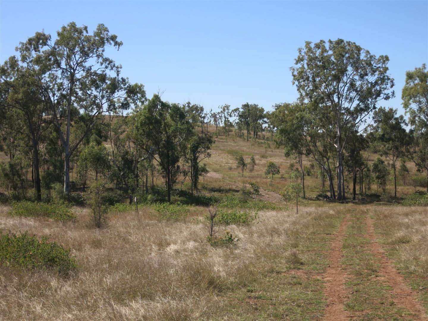 Lot 26 StanwellWaroula Road, Dalma QLD 4702 House for Sale 360,000