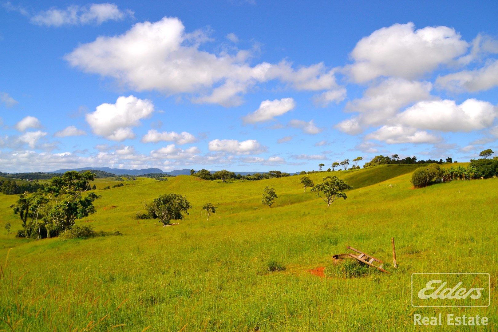 Tarzali QLD 4885, Image 1