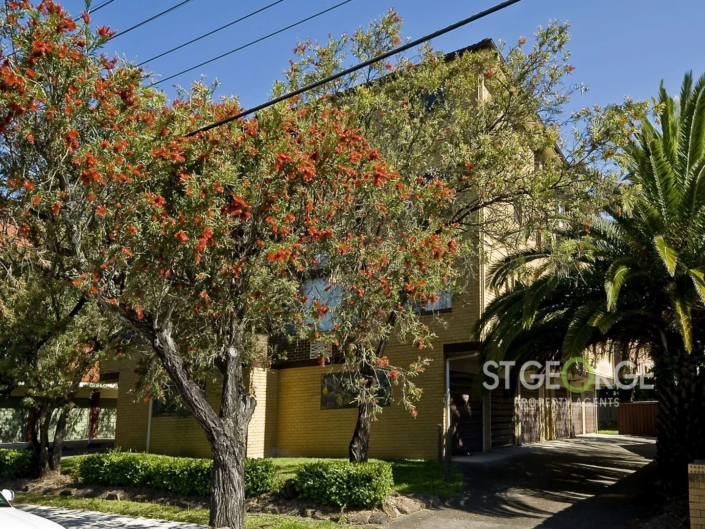 Penshurst NSW 2222 photo 5