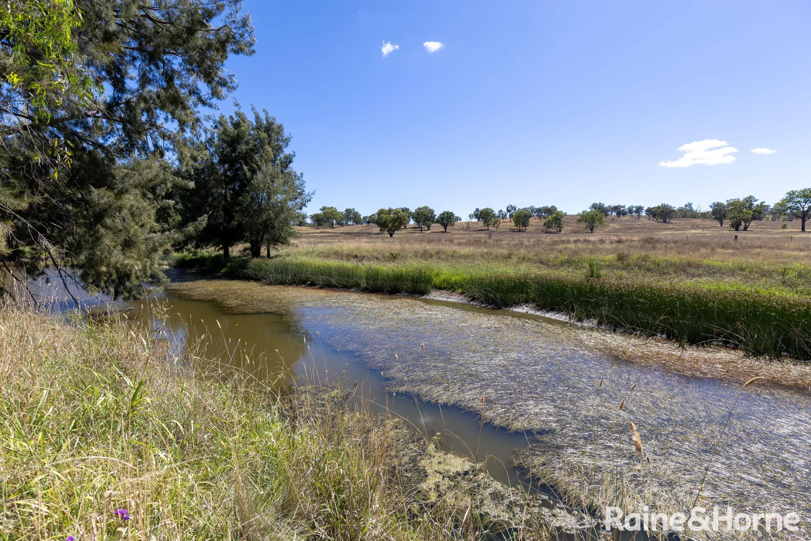Additional image 34 of 491 Goomerah Lane, Nullamanna NSW 2360