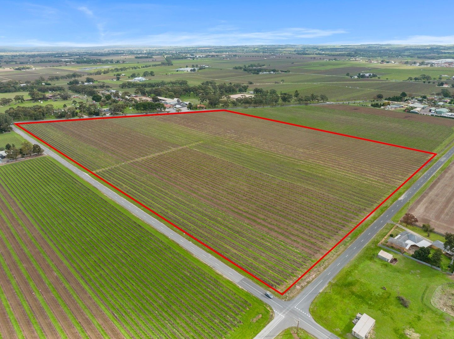 Lot 351 Angaston Road, Nuriootpa SA 5355, Image 0